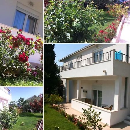 Villa Markic Дрвеник Екстер'єр фото