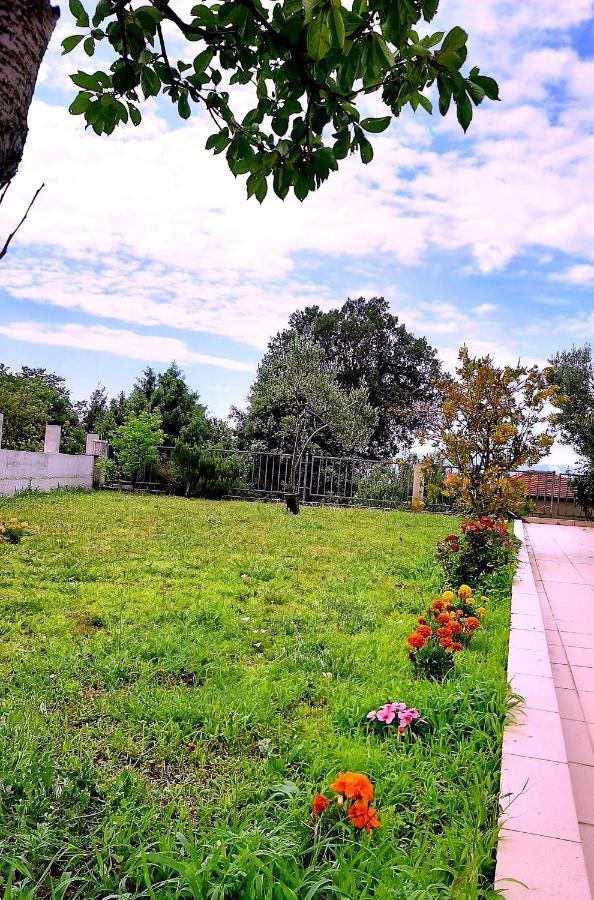 Villa Markic Дрвеник Екстер'єр фото